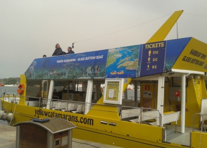 Yellow Catamarans