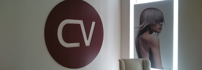 Imagen corporativa Carlos Vidal
